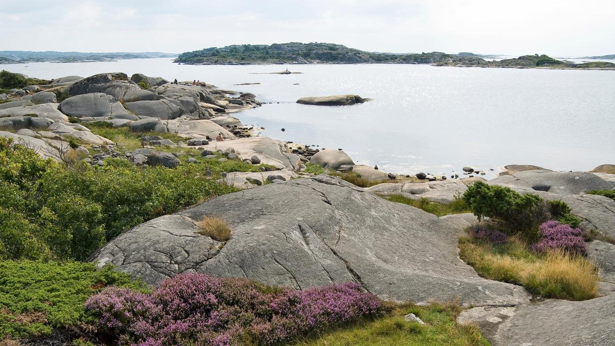 nudist-nudism-naturism-b-sta-str-nderna-i-sverige-v-rlden